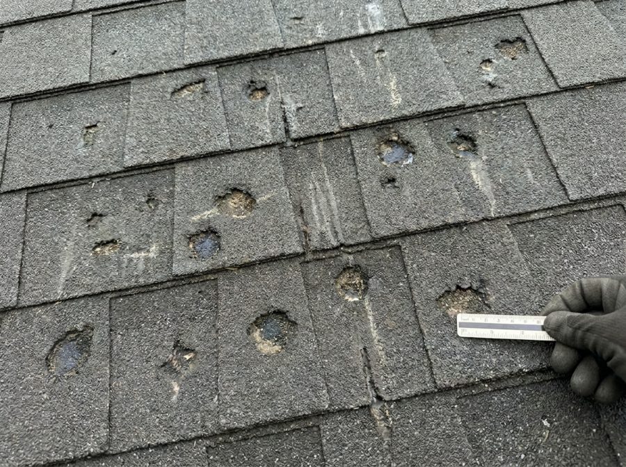 Close-up of hail damage on asphalt shingles